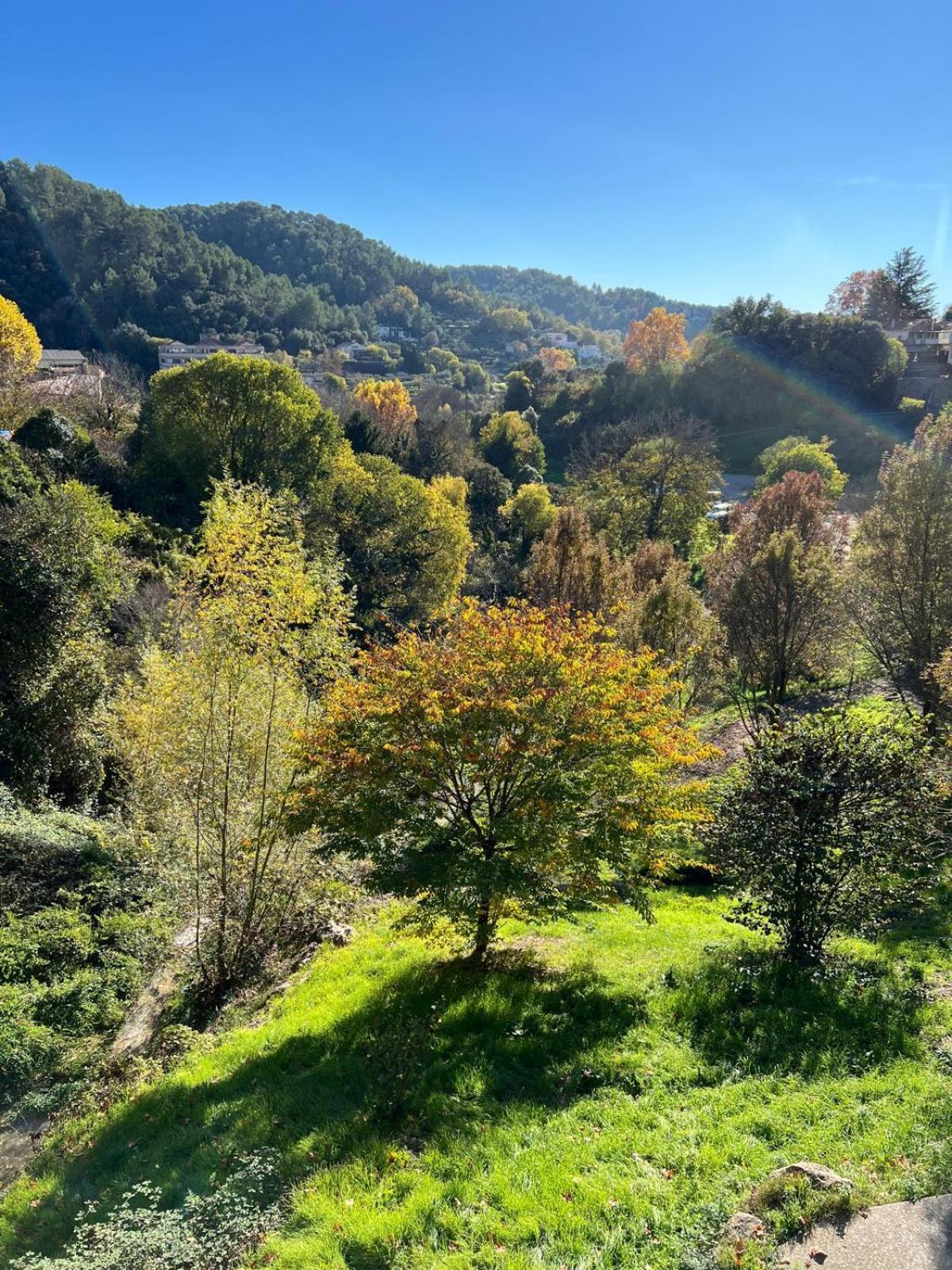 Chez Ventura Bed & Breakfast Barjols Dış mekan fotoğraf